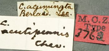 Media type: image;   Entomology 3763 Aspect: labels